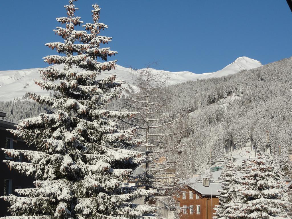 Studio Riedwiese Davos Cameră foto