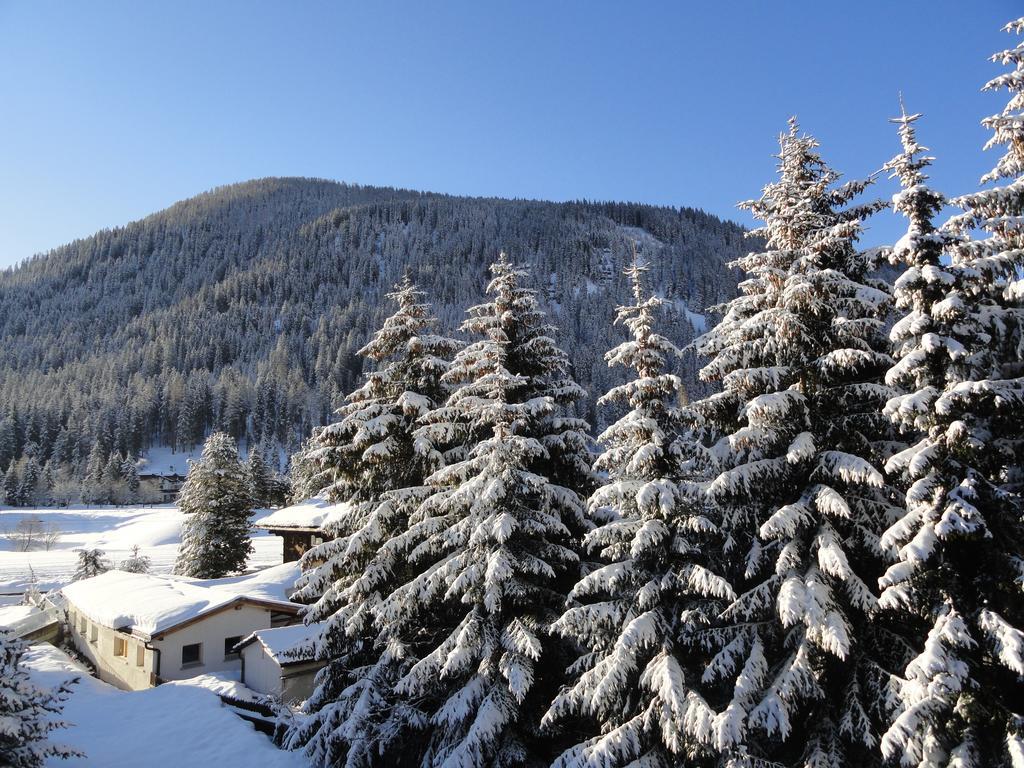 Studio Riedwiese Davos Cameră foto